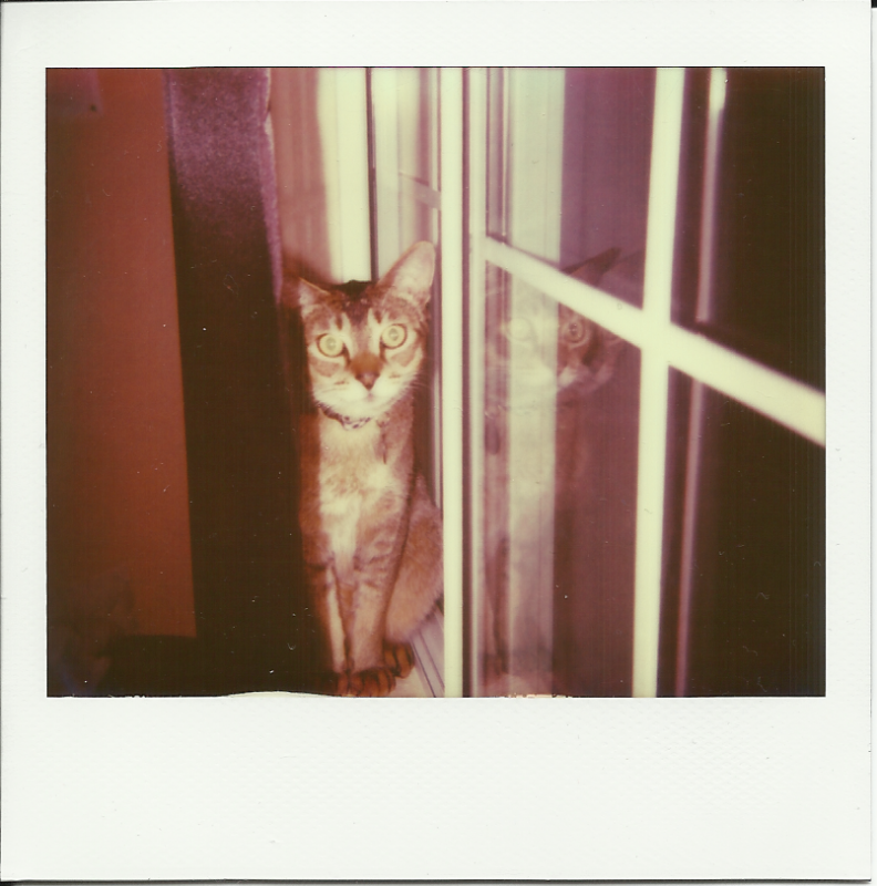 photo spectra_alastair_zps40d2e071.png