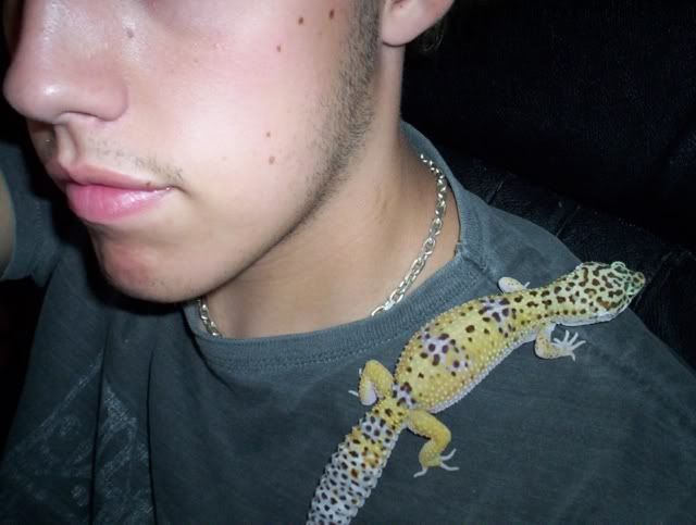 Shoulder.jpg