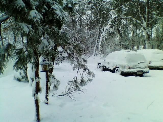 1220080842a.jpg