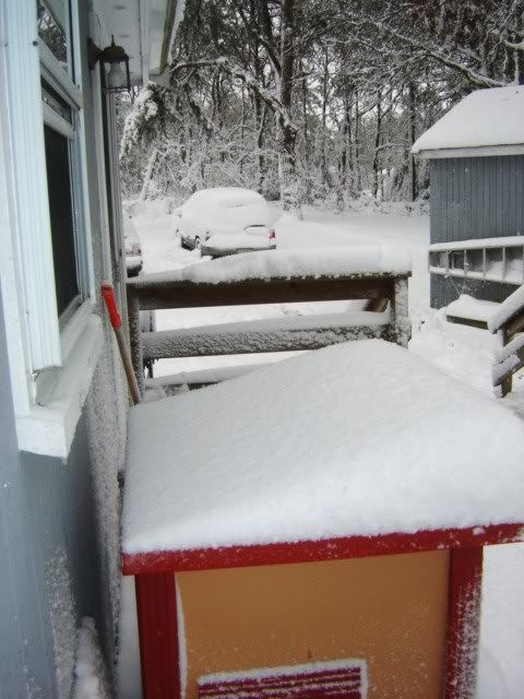 DSC02928.jpg