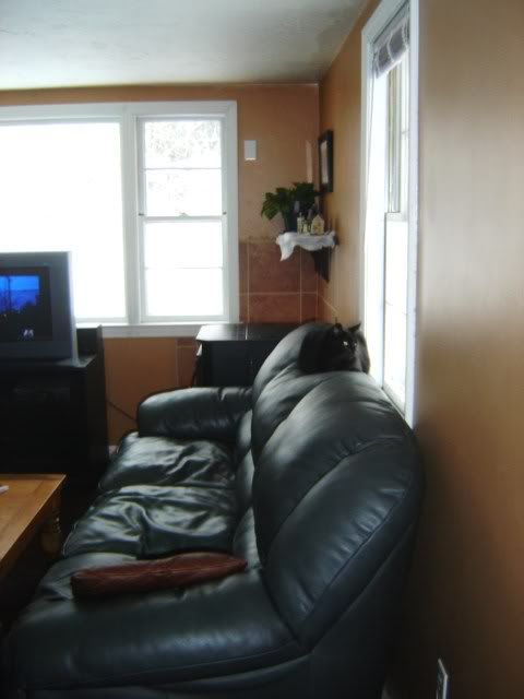 DSC02930.jpg