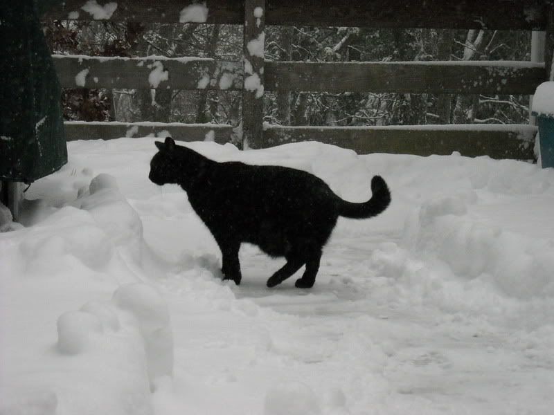 DSCN0036.jpg