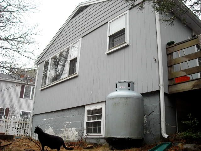 DSCN0452.jpg