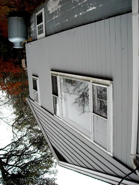 DSCN0453.jpg