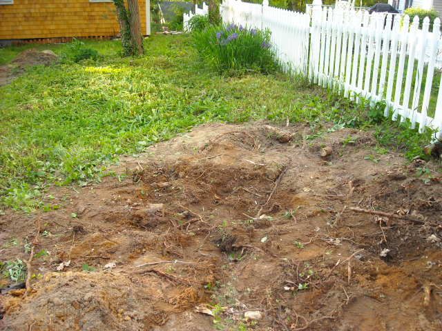 DSCN0682.jpg