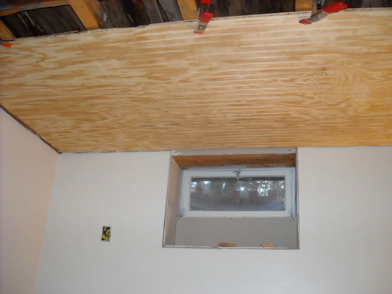 DSCN1074.jpg