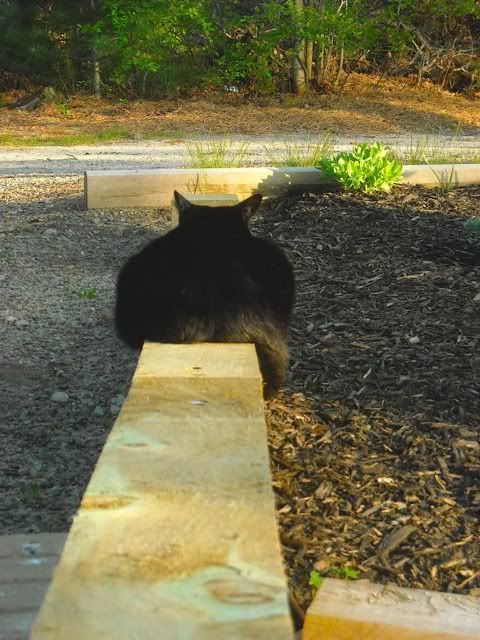 DSCN1860.jpg