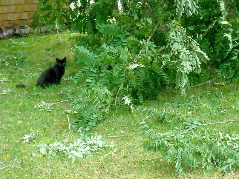 DSCN2112.jpg