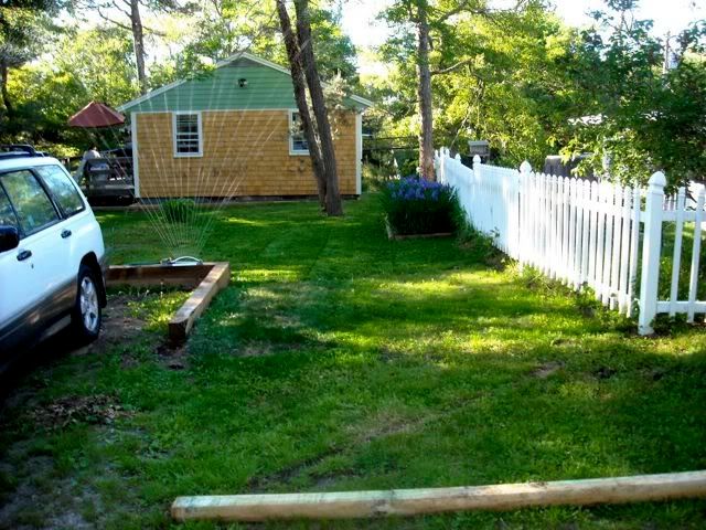 lawn4.jpg