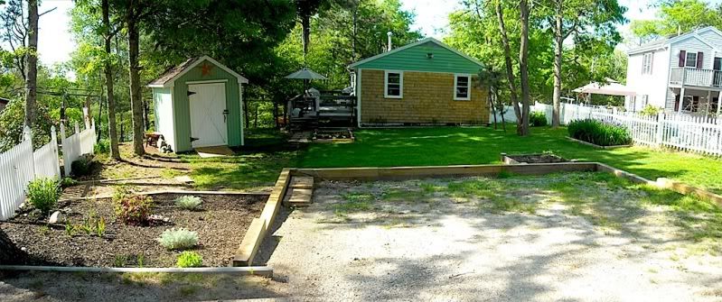 yard2.jpg