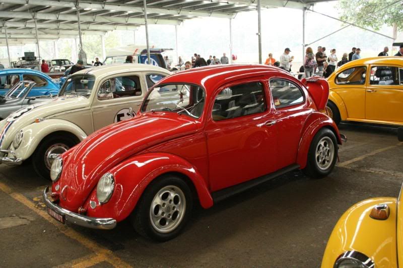 http://img.photobucket.com/albums/v353/barls80/nats%2008/IMG_0097.jpg http://img.photobucket.com/albums/v353/barls80/nats%2008/IMG_0097.jpg