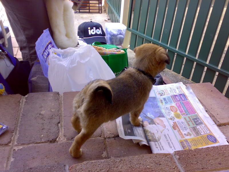 http://img.photobucket.com/albums/v353/barls80/sasha/06052007002.jpg
