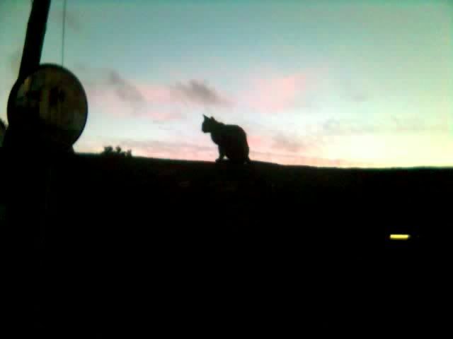 Image hosted by Photobucket.com