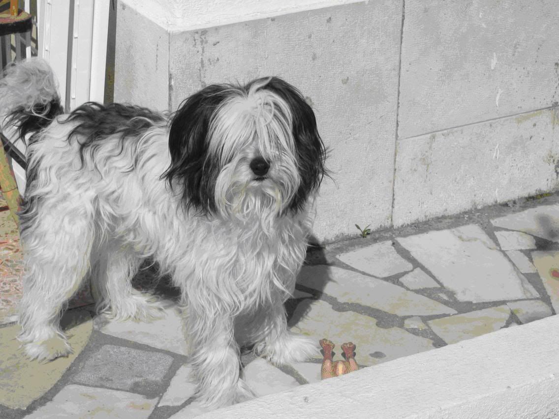 Photobucket - Video and Image Hosting