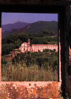 Image hosted by Photobucket.com