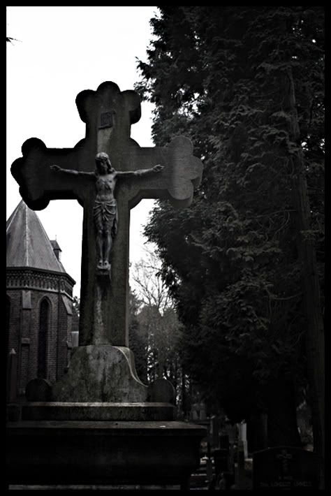 Fotografie
