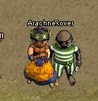 Rover and Arachne