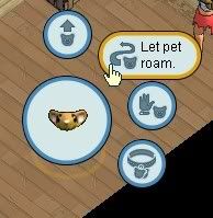 Let pet roam