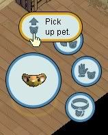 Pick up pet