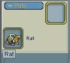 rat