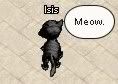 Isis kitty says ‘meow’