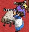 Rami pets Amber’s sheep