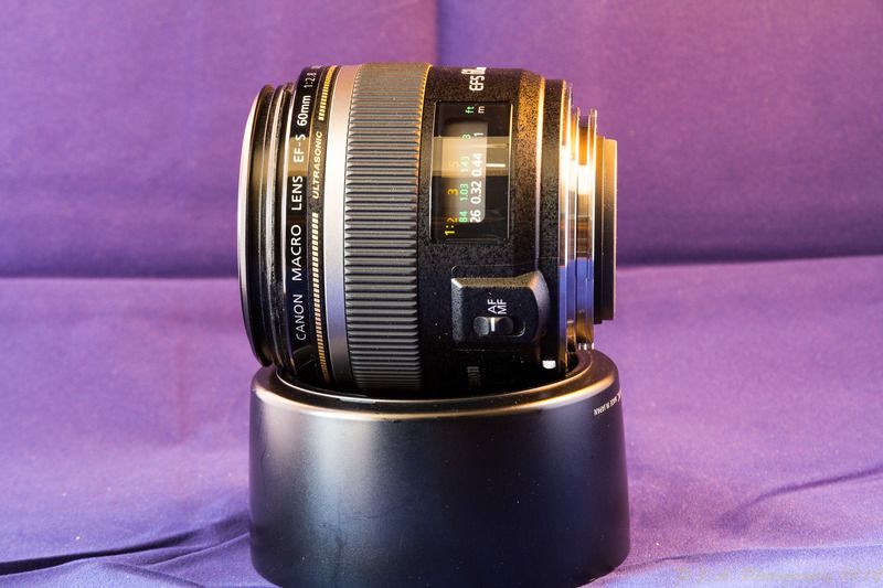 IMAGE: http://img.photobucket.com/albums/v354/ddj8052/For%20Sale/Lenses%20for%20sale-5.jpg