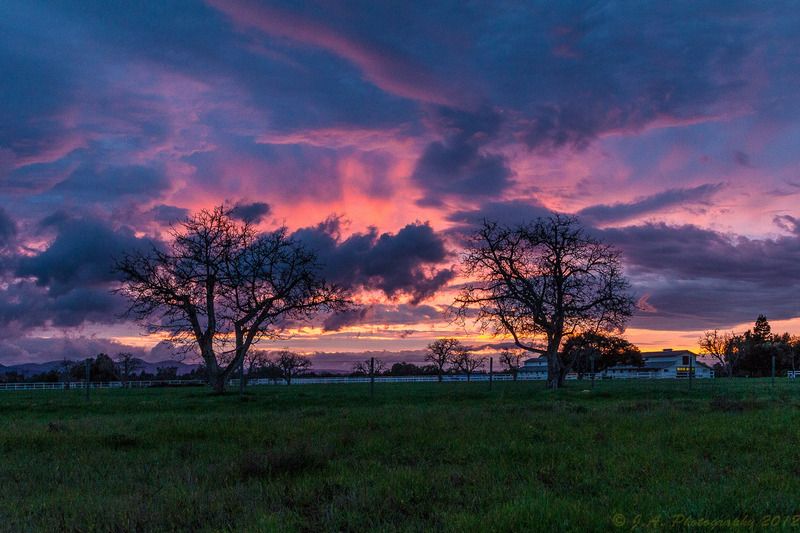 IMAGE: http://img.photobucket.com/albums/v354/ddj8052/For%20Sale/Sunset%202-16.jpg