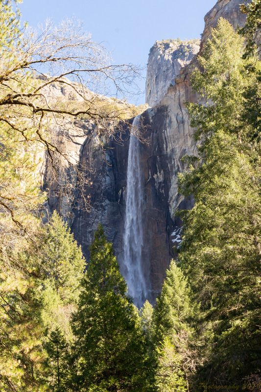 IMAGE: http://img.photobucket.com/albums/v354/ddj8052/Yosemite%20Jan%202016/Yosemite%202016-12.jpg