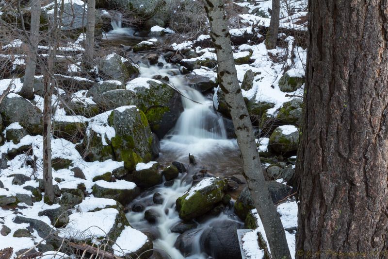 IMAGE: http://img.photobucket.com/albums/v354/ddj8052/Yosemite%20Jan%202016/Yosemite%202016-26.jpg