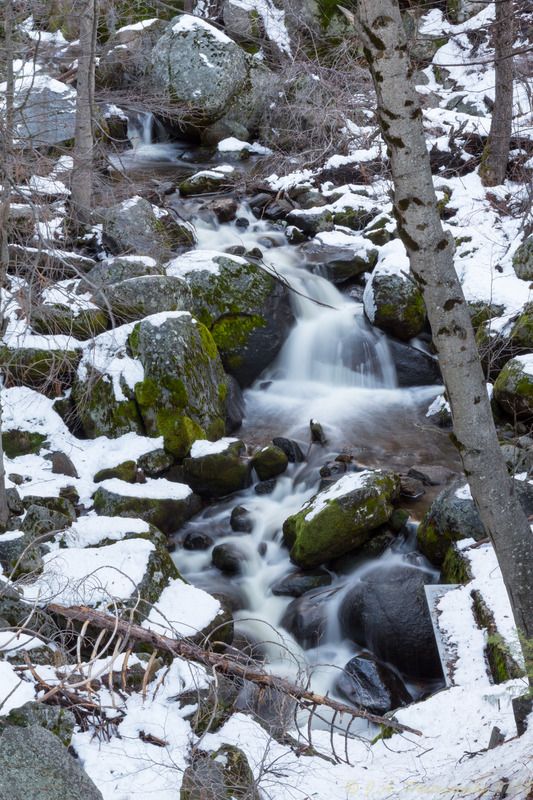 IMAGE: http://img.photobucket.com/albums/v354/ddj8052/Yosemite%20Jan%202016/Yosemite%202016-27.jpg