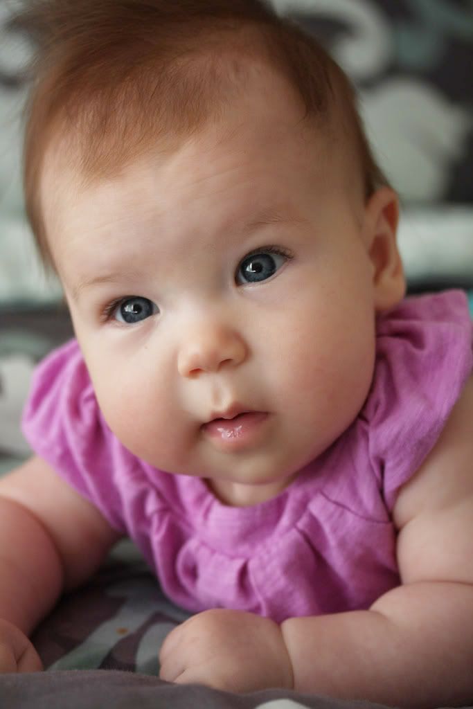 IMAGE: http://img.photobucket.com/albums/v354/redskymedic/miaclose.jpg