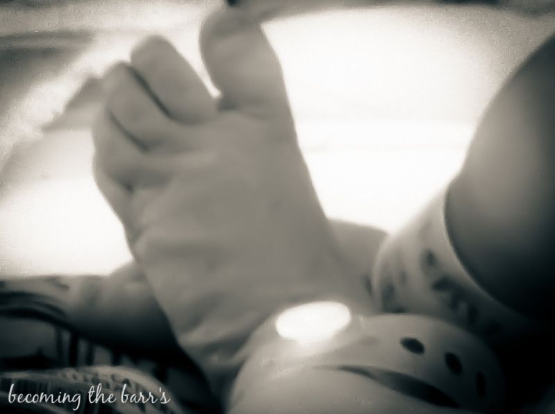 newborn baby feet