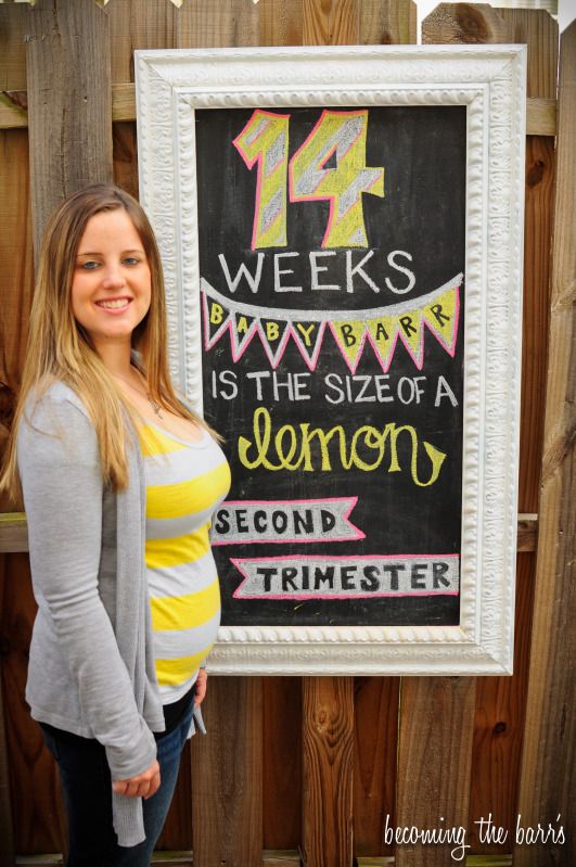 14 weeks pregnant little baby garvin inspired pregnancy chalkboard