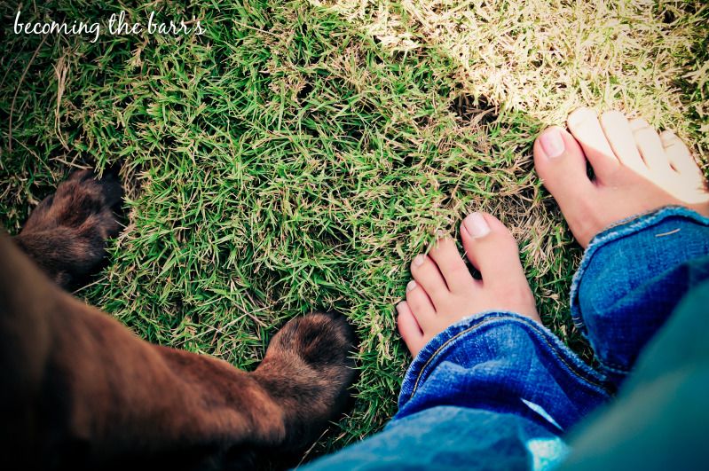 puppy paws and human feet