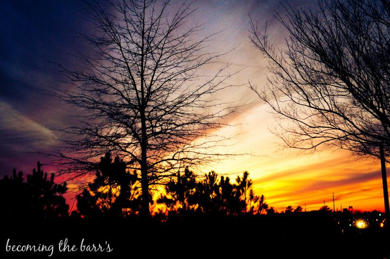 purple red orange sunset behind trees photograph