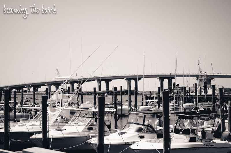 ocean city, nj bayside