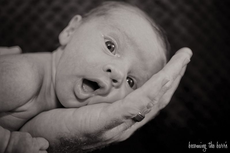 newborn photo on daddys hands