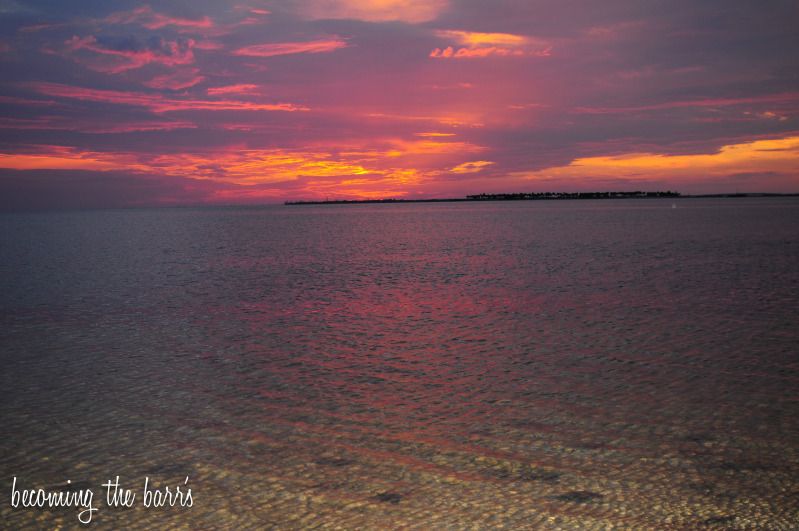 florida sunset over the gulf