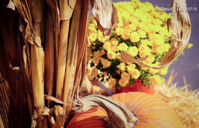 fall pumpkins and flowers