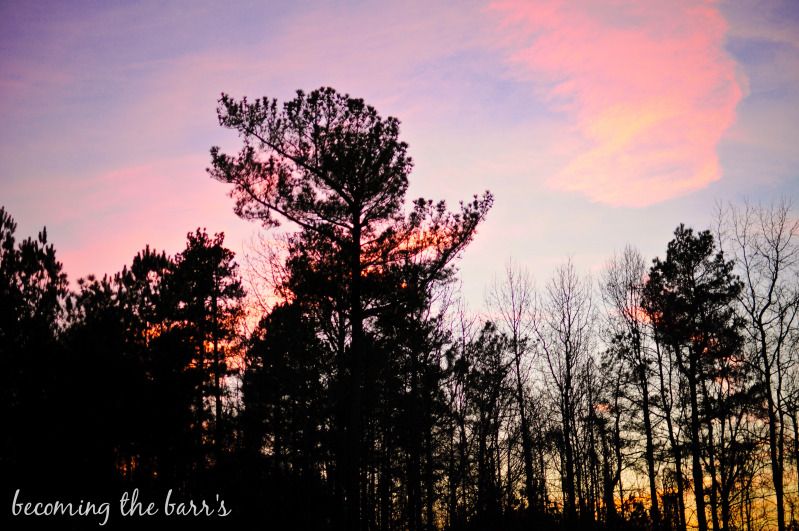 pink and purple sunset photograph