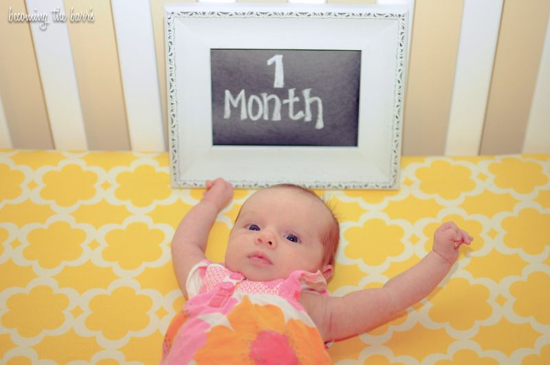 1 month old baby picture; monthly baby photos