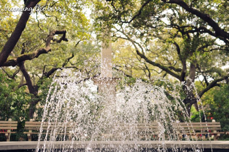 savannah squares and parks