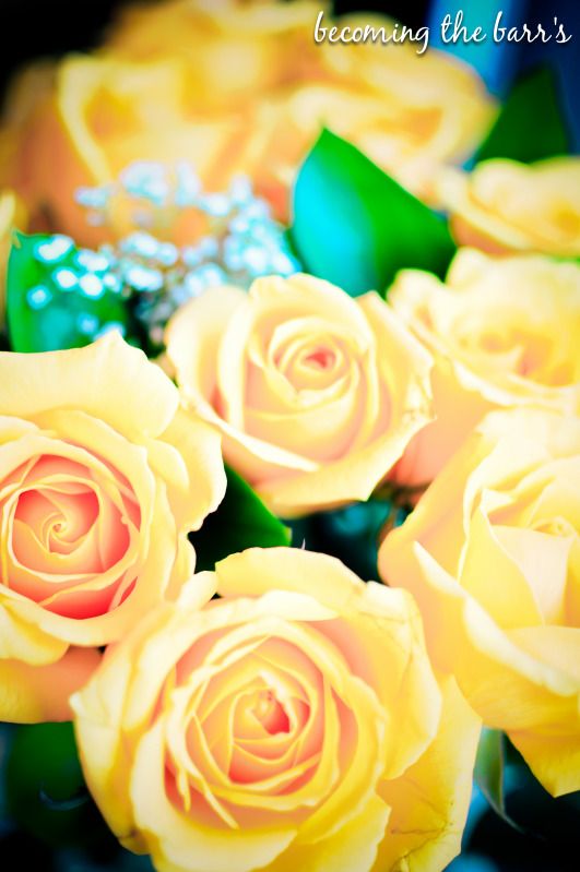 beautiful yellow roses meaning