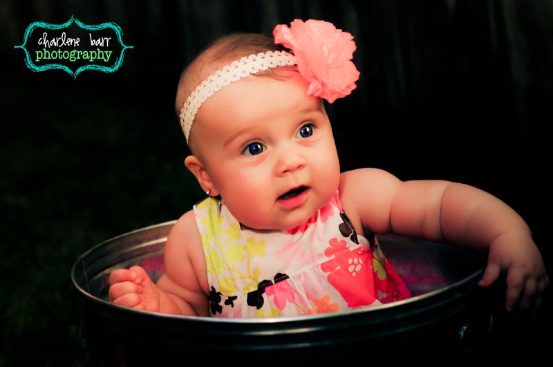 6 month old photoshoot, baby photos in tin bucket