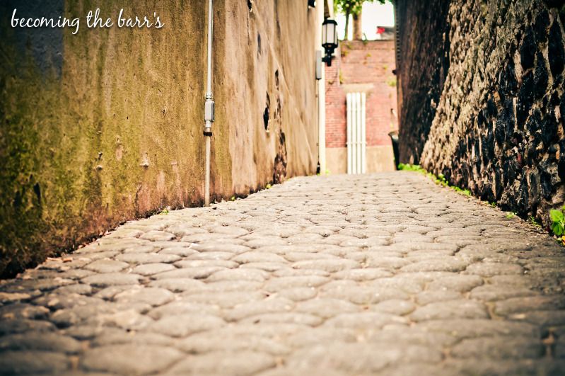 savannah, georgia cobblestone street photographs