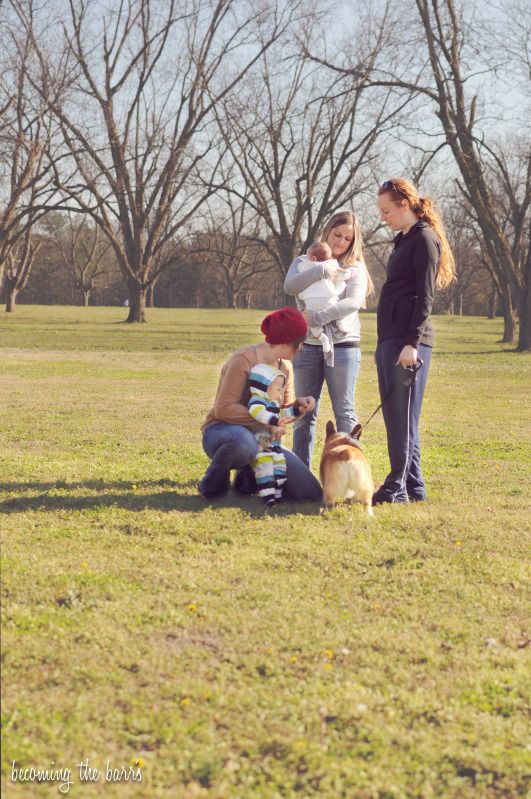 picnic in the park photo