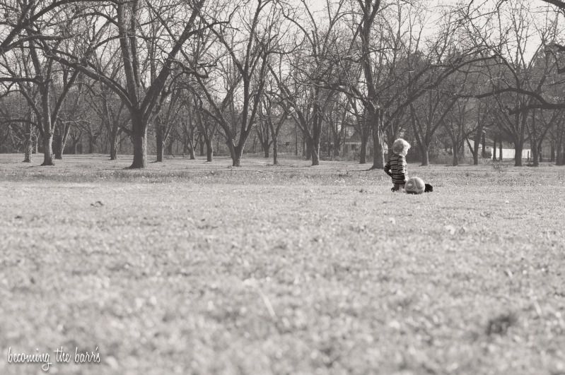 boy sitting in the park photography