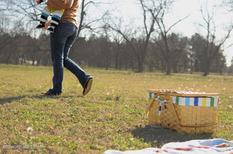 picnic basket in the park