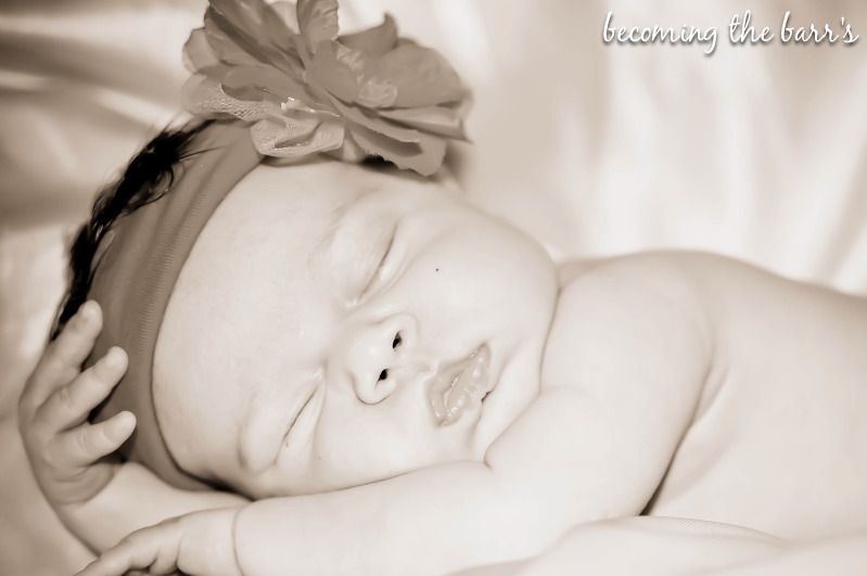 newborn photo shoot poses